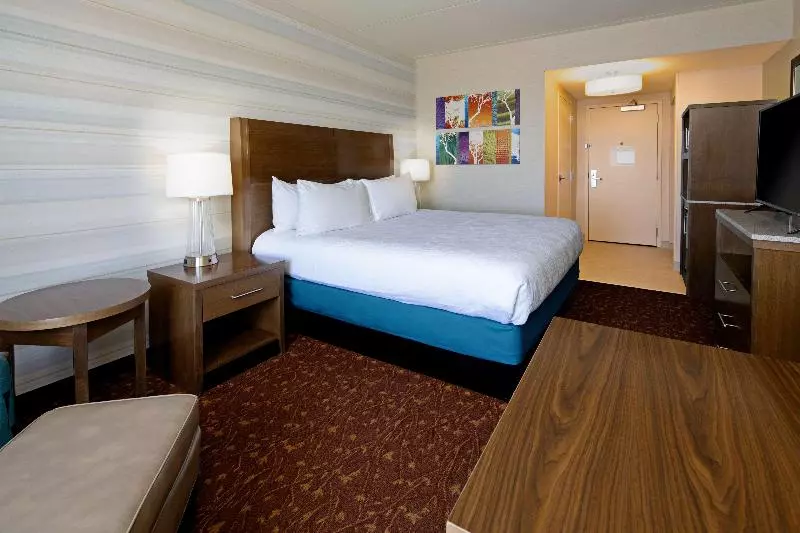 اتاق استاندارد با تخت بزرگ, Hilton Garden Inn Albuquerque Airport