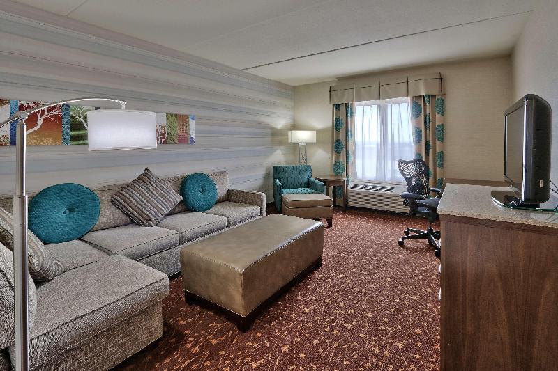 Suite Letto King, Hilton Garden Inn Albuquerque Airport