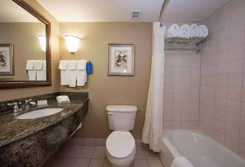 Standard-huone, Hilton Garden Inn Athens Downtown