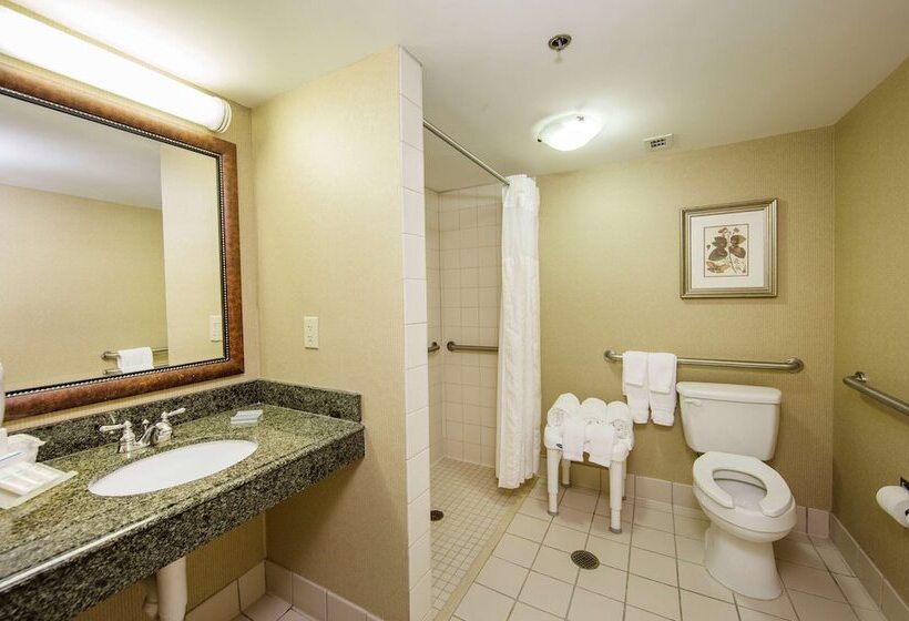 غرفة قياسية لذوى الاحتياجات الخاصة, Hilton Garden Inn Athens Downtown