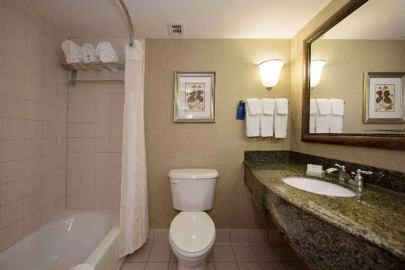 Standard-huone King-vuode, Hilton Garden Inn Athens Downtown