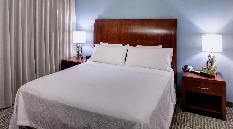 キングサイズベッドのスタンダードルーム, Hilton Garden Inn Denver Downtown