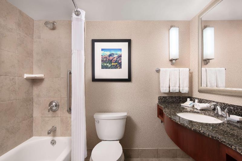 חדר סטנדרט עם מיטת קינג, Hilton Garden Inn Denver Downtown