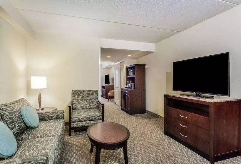 سوییت لوکس, Hilton Garden Inn Gainesville