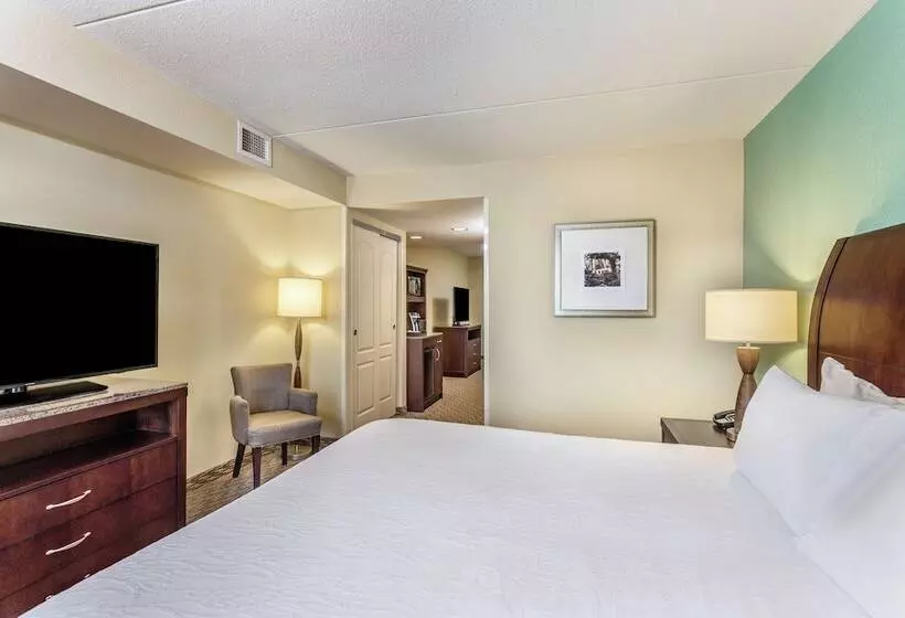 سوییت لوکس, Hilton Garden Inn Gainesville