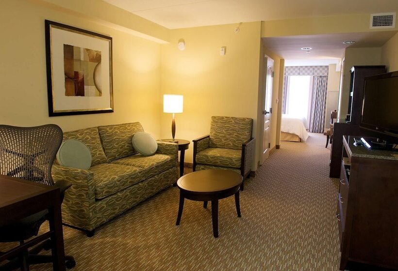 디럭스 스위트, Hilton Garden Inn Gainesville