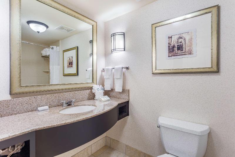 غرفة قياسية سرير كينج, Hilton Garden Inn Gainesville