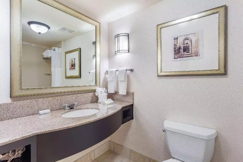 اتاق استاندارد با تخت بزرگ, Hilton Garden Inn Gainesville