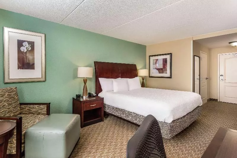اتاق استاندارد با تخت بزرگ, Hilton Garden Inn Gainesville