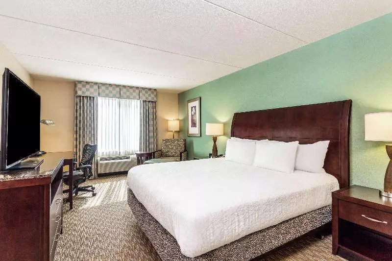 اتاق استاندارد با تخت بزرگ, Hilton Garden Inn Gainesville