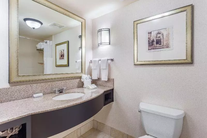 اتاق استاندارد با تخت بزرگ, Hilton Garden Inn Gainesville