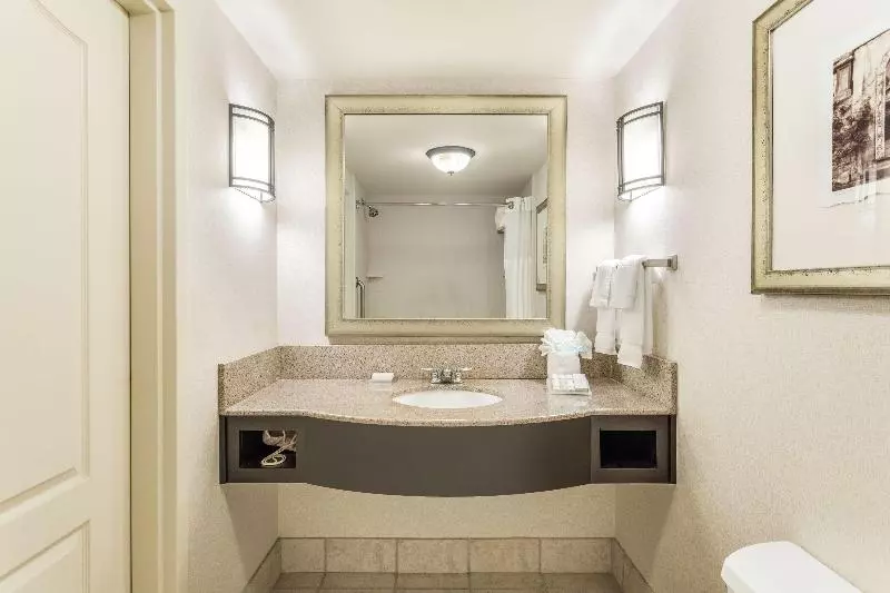 اتاق استاندارد با تخت بزرگ, Hilton Garden Inn Gainesville