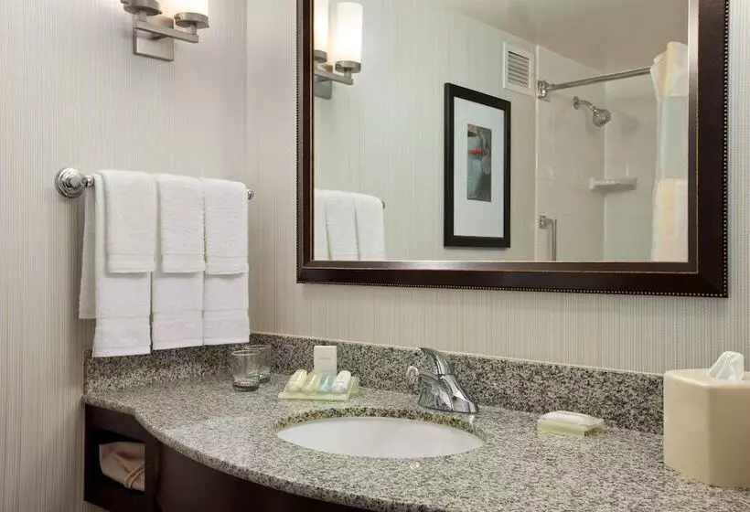 プレミアムルーム, Hilton Garden Inn Hoffman Estates
