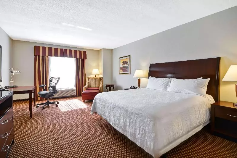 キングサイズベッドのスタンダードルーム, Hilton Garden Inn Tampa/riverview/brandon