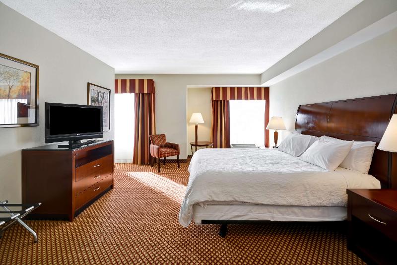 غرفة قياسية سرير كينج, Hilton Garden Inn Tampa/riverview/brandon
