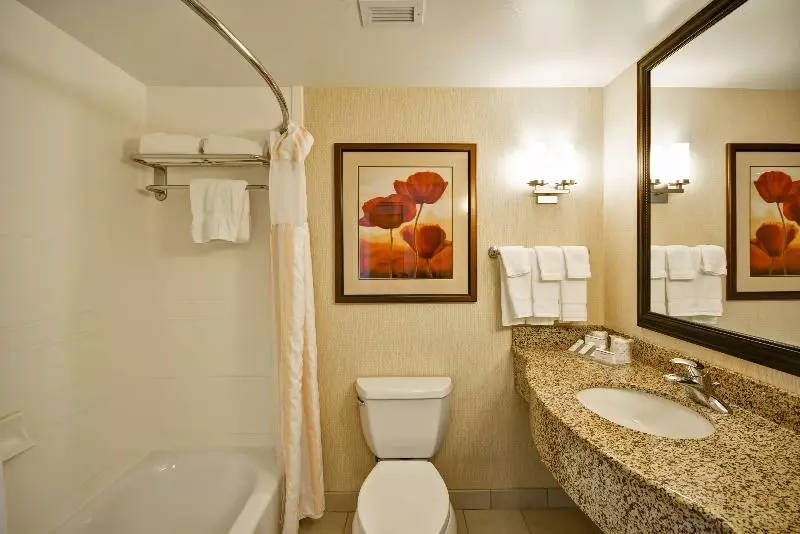 キングサイズベッドのジュニアスイート, Hilton Garden Inn Tampa/riverview/brandon