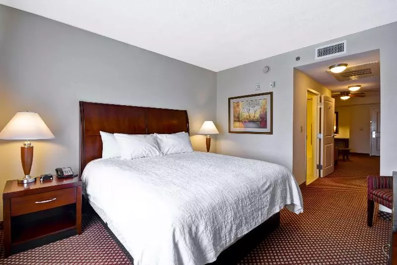 キングサイズベッドのジュニアスイート, Hilton Garden Inn Tampa/riverview/brandon