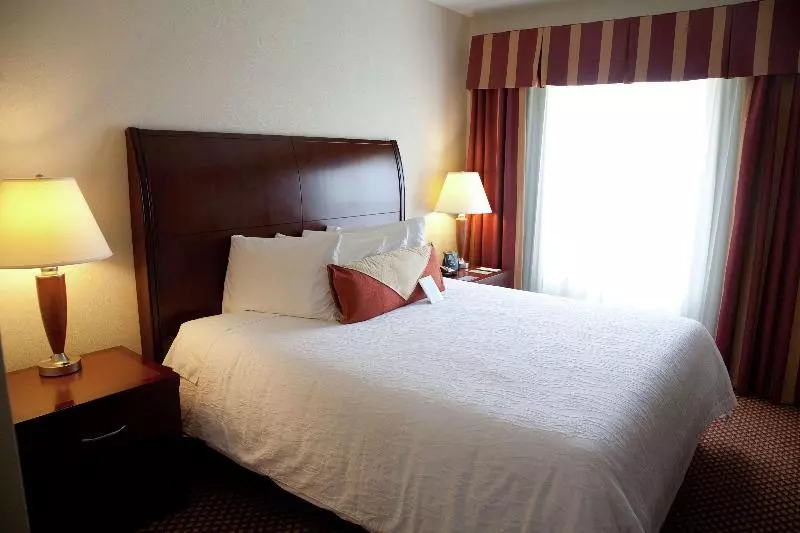 キングサイズベッドのジュニアスイート, Hilton Garden Inn Tampa/riverview/brandon