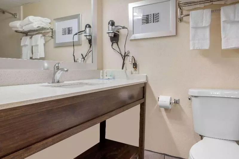 スタンダードルーム, Hilton Garden Inn Tampa/riverview/brandon