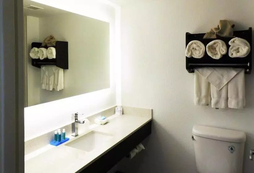 Standard-huone, Holiday Inn Express   Coventry S   West Warwick Area, An Ihg