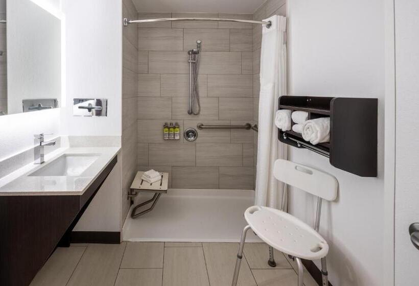 适合残疾人士使用的带超级大床的标准间, Holiday Inn Express   Coventry S   West Warwick Area, An Ihg