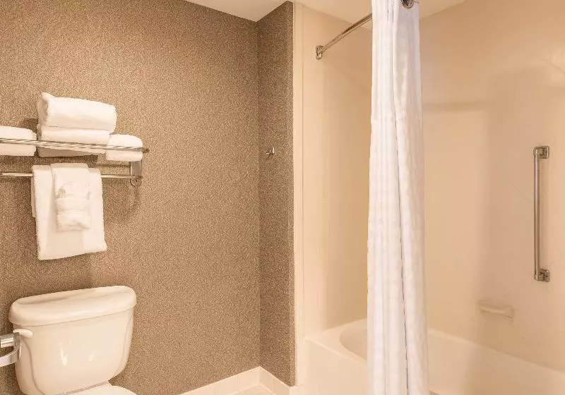 キングサイズベッドのスイートルーム, Homewood Suites By Hilton Palm Beach Gardens
