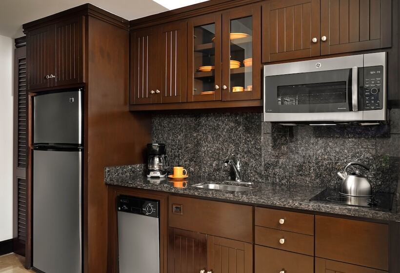 فيلا ديلوكس غرفة نوم واحدة مطلة على البحر, Hyatt Vacation Club At Sirena Del Mar