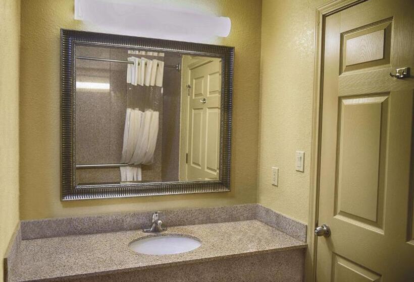 キングサイズベッドのスタンダードルーム, La Quinta By Wyndham Alice