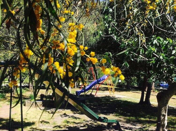 スーペリアールーム, Ristorante La Mimosa