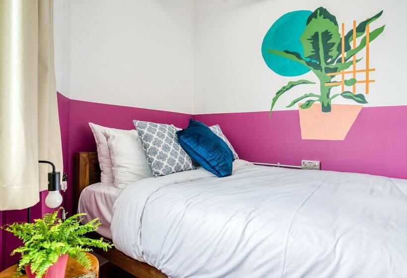 Camera Economy, Malacuna Manchester