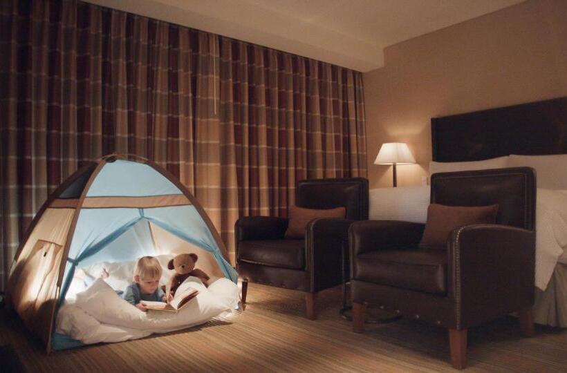 디럭스 전망 룸, The Ritz Carlton, Lake Tahoe