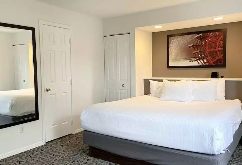 １ベッドルームアパートメント, Club Wyndham Branson At The Falls