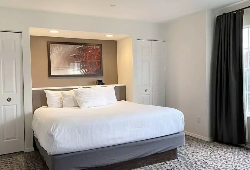 １ベッドルームアパートメント, Club Wyndham Branson At The Falls