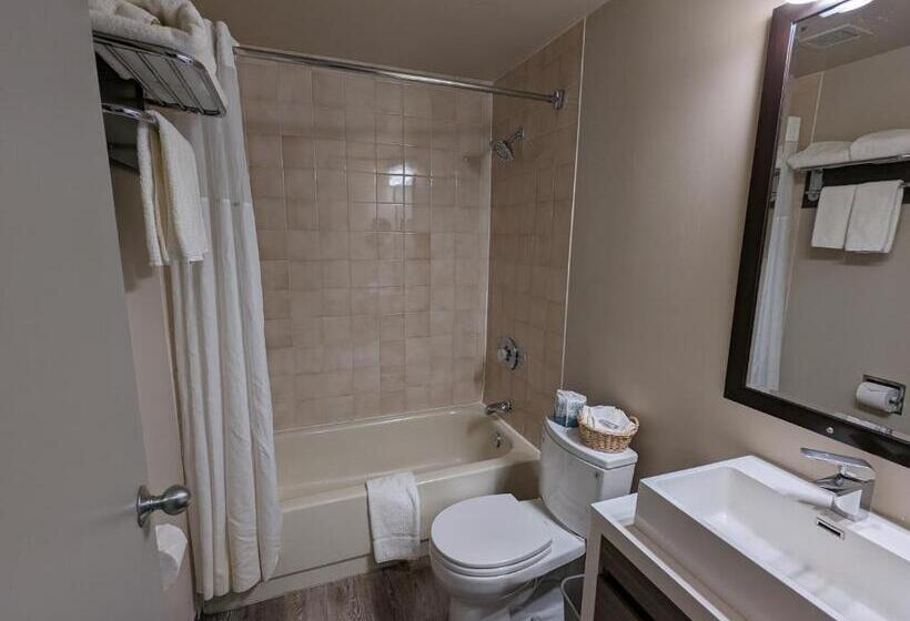 带大床的标准间, King Edward Hotel