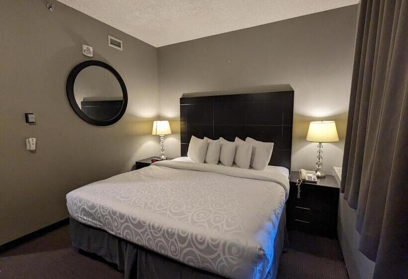 带大床的标准间, King Edward Hotel