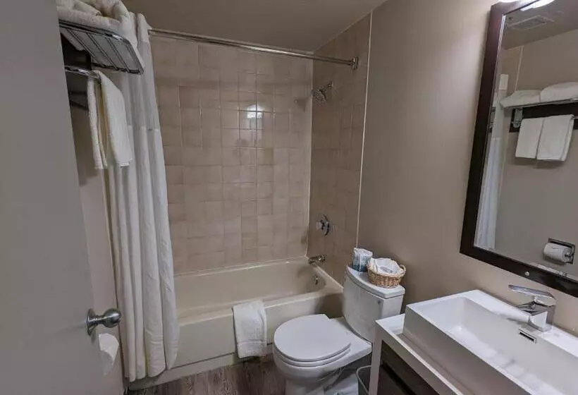 キングサイズベッドのデラックスルーム, King Edward Hotel