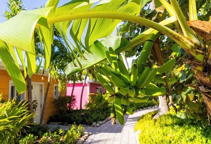 ３ベッドルームスイート, La Siesta Resort & Villas