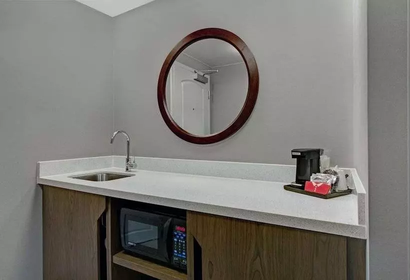 استودیوی استاندارد با تخت دوبل, Hampton Inn & Suites Syracuse Dewitt