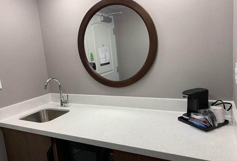 스탠다드 스튜디오 더블 침대, Hampton Inn & Suites Syracuse Dewitt