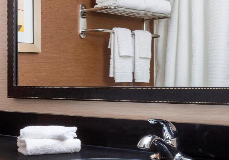 스탠다드 스튜디오 킹침대, Hampton Inn & Suites Syracuse Dewitt