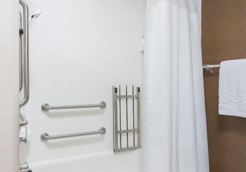 带大床的标准工作室, Hampton Inn & Suites Syracuse Dewitt