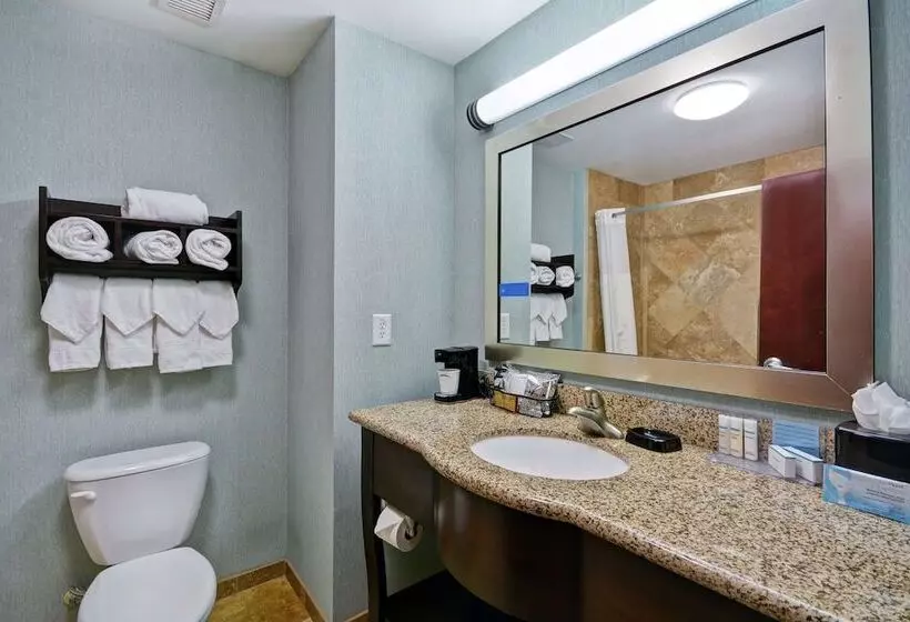 スタンダードルーム, Hampton Inn & Suites San Antonio/northeast I35