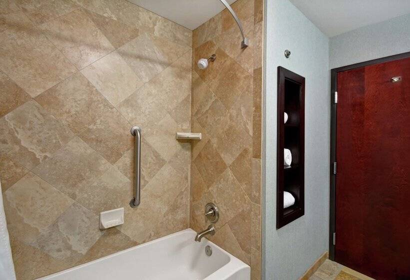 Номер Стандарт, Hampton Inn & Suites San Antonio/northeast I35