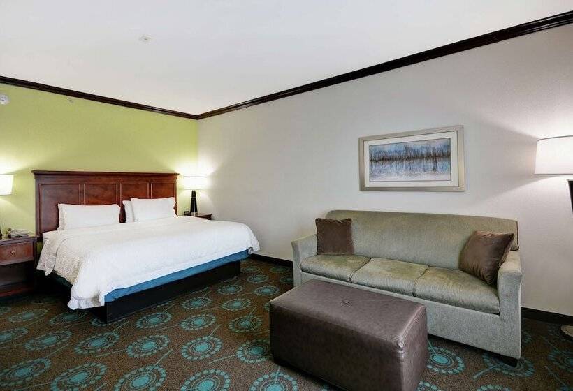 Номер Стандарт, Hampton Inn & Suites San Antonio/northeast I35