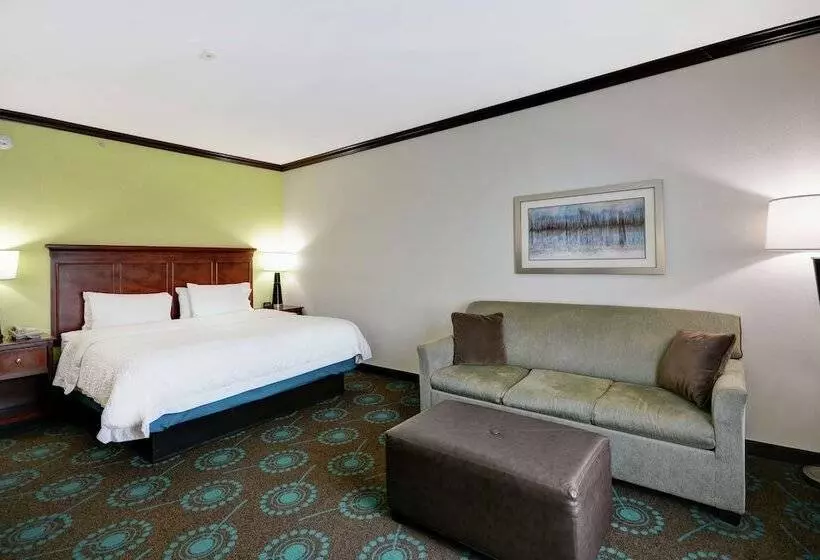 スタンダードルーム, Hampton Inn & Suites San Antonio/northeast I35