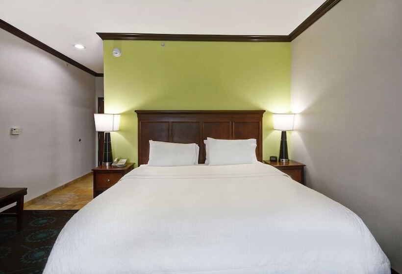 스탠다드 룸, Hampton Inn & Suites San Antonio/northeast I35