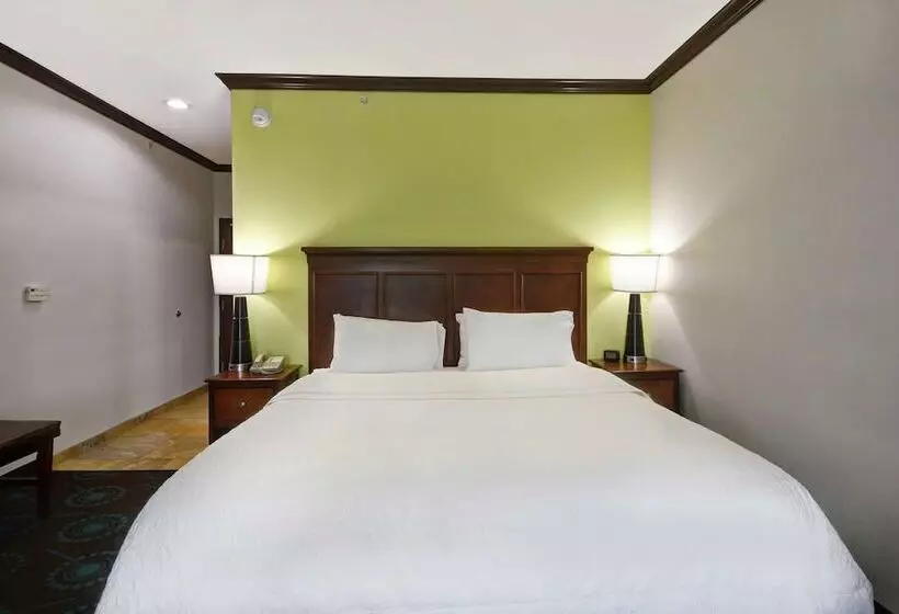 スタンダードルーム, Hampton Inn & Suites San Antonio/northeast I35