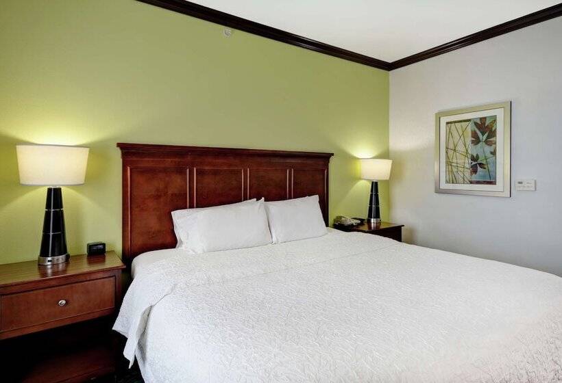 Номер Стандарт, Hampton Inn & Suites San Antonio/northeast I35