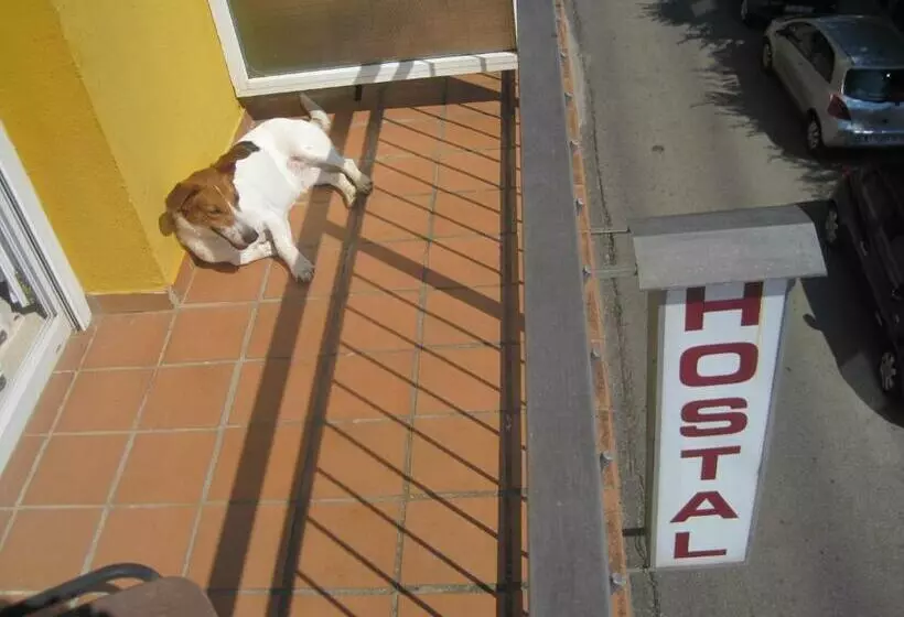 スタンダードシングルルーム, Hostal Sant Bernat