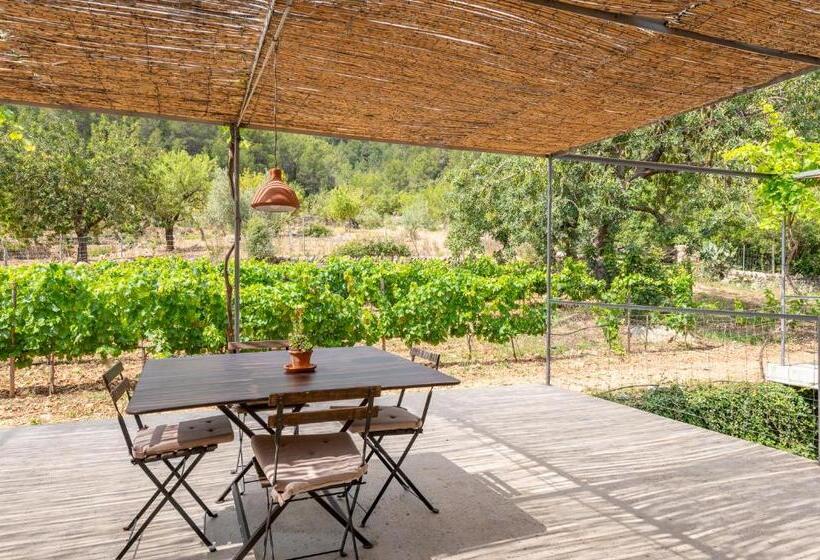 带两个卧室的顶楼公寓, Agroturismo Filicumis By Mhr